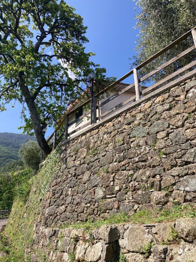 Borzonasca La Casa Di Ameliaヴィラ エクステリア 写真