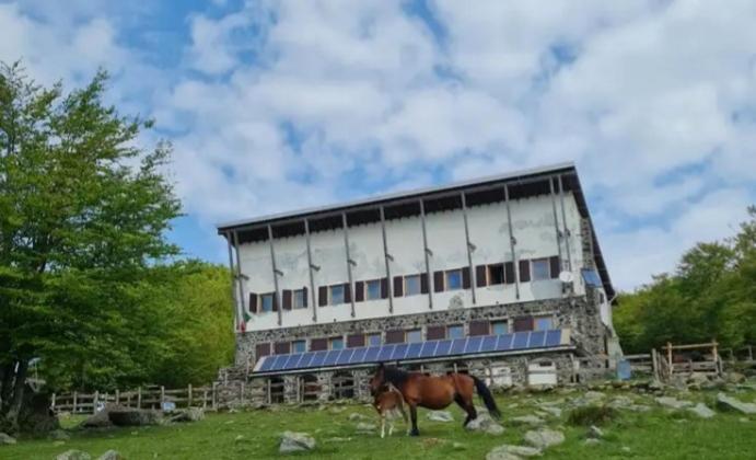 Borzonasca La Casa Di Ameliaヴィラ エクステリア 写真